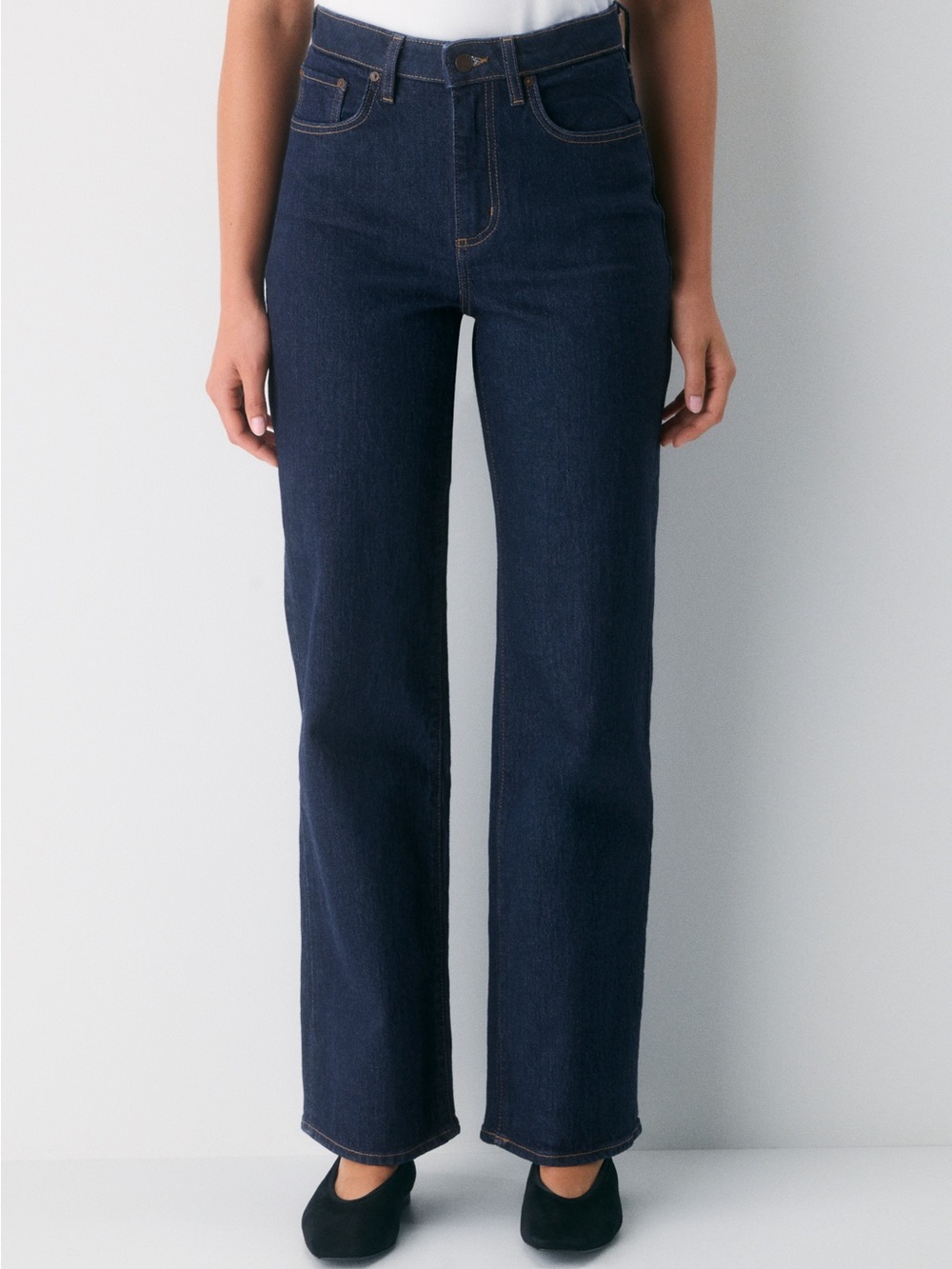 Aritzia Denim Forum Remy Curvy Fit High Rise Wide Leg Dark Wash Jean